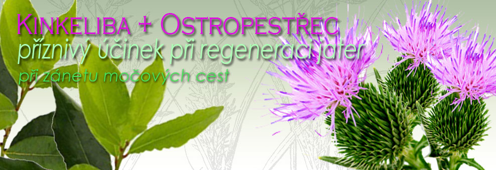 Kinkeliba + Ostropestrec