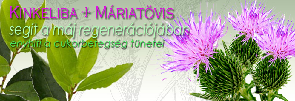 Kinkeliba + Ostropestrec