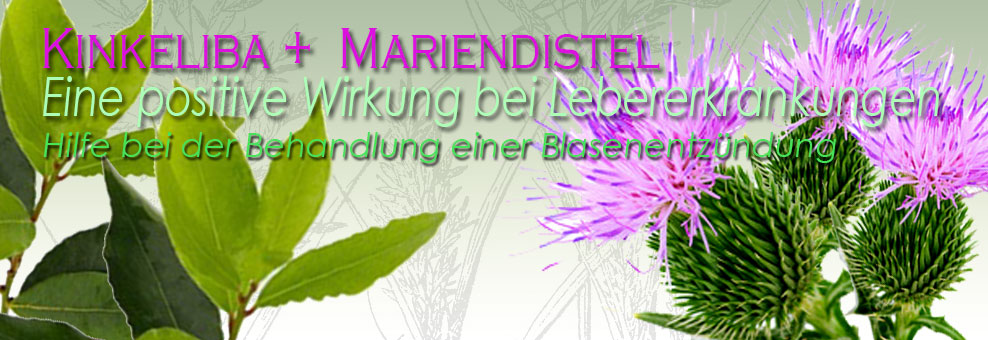 Kinkeliba + Ostropestrec