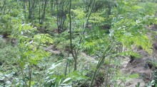 38_dsc00688.jpg