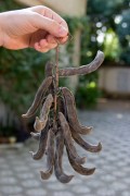 43__mg_9799.jpg